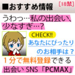 PC☆MAX(ピーシーマックス)