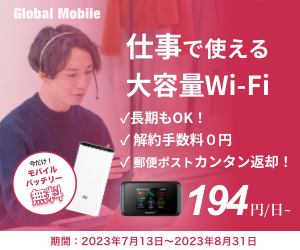 国内ポケットwifi