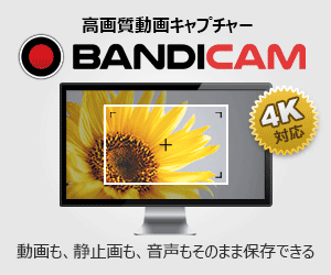 知名度No.1高性能動画キャプチャーソフト【Bandicam】