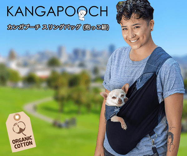 KANGAPOOCH - カンガプーチ