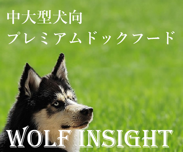 WOLF INSIGHTのポイント対象リンク